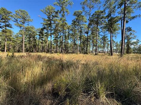 Afbeeldingsresultaten voor 5 Digit Zip Code Map