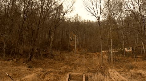 Image result for Timeline Slide for Stabilization