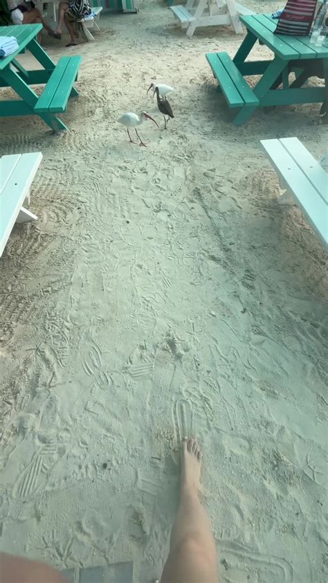 Image result for Bing Sound Intro