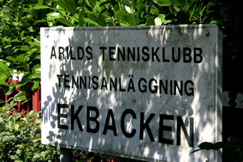 Image result for Google Maps 2024