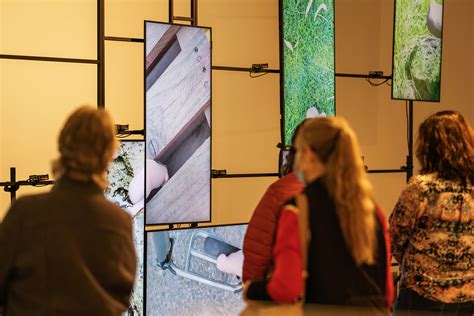 Image result for Visual Development Course Twitteer