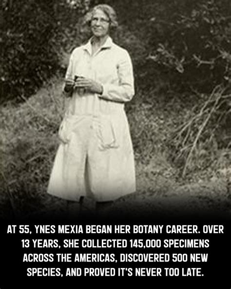 Toradh íomhá ar Java Collections and Their Purpose Table