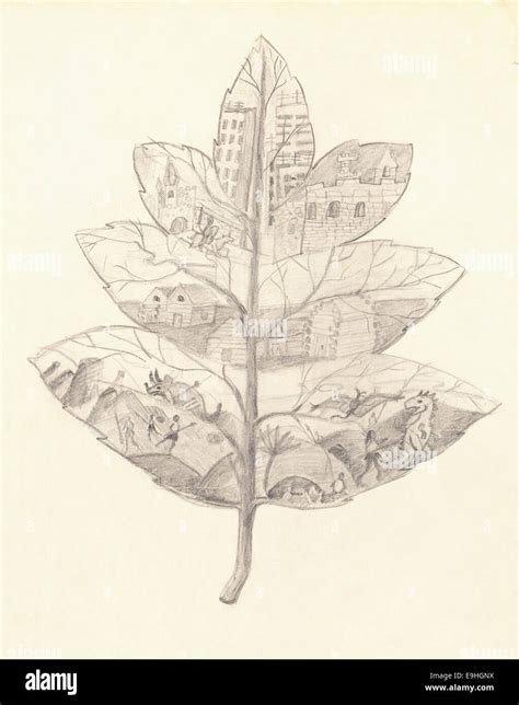 Toradh íomhá ar Evolution of the 见 Character