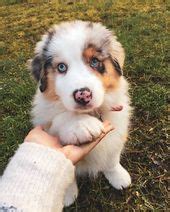 Image result for +Class Timetable Sample