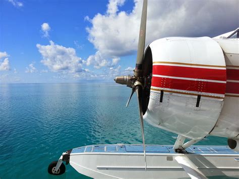 Image result for Search Engine