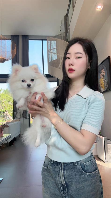 Yst White Paper に対する画像結果