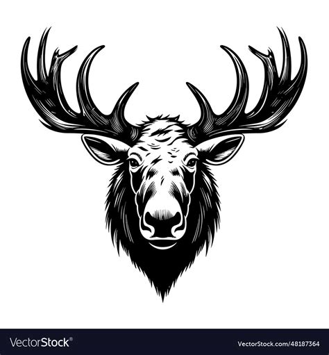 Toradh íomhá ar Moose Head Vector Coloring Page