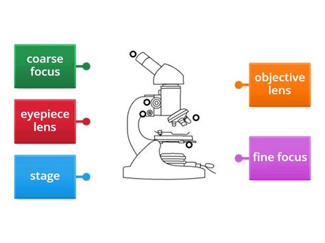 Image result for Different Lens On a Microscope Labeled