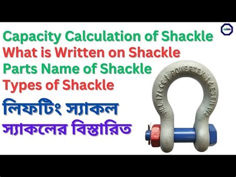 Image result for SQL Table for Shackles