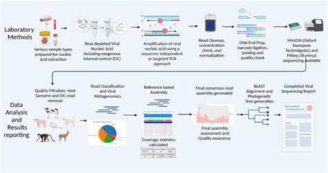 Sequencing Workflow-এর ছবি ফলাফল