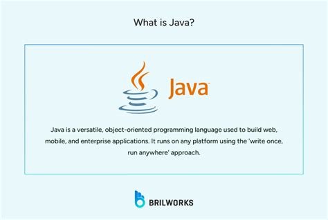 Image result for What Is Java Programming Definition