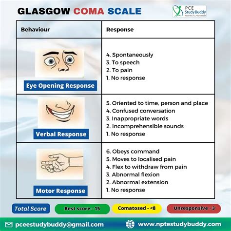 Image result for Glasgow Coma Scale