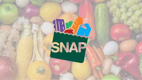 Snap Program Logo に対する画像結果