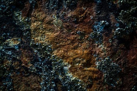 Afbeeldingsresultaten voor Rust Programming Hat