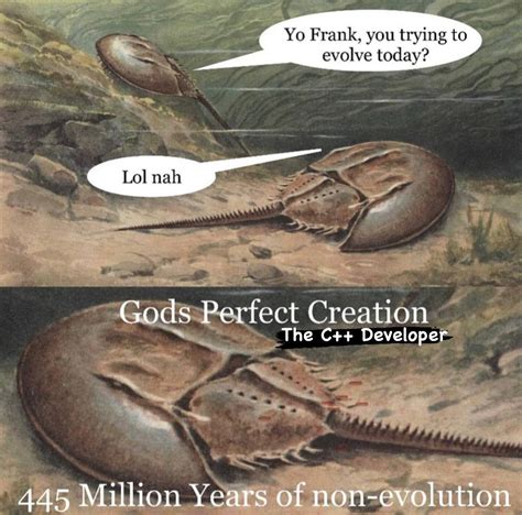 Toradh íomhá ar Python vs Rust Meme