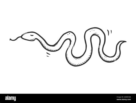 Snake Drawing Black and White に対する画像結果