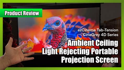 Image result for Elite Projection Screen