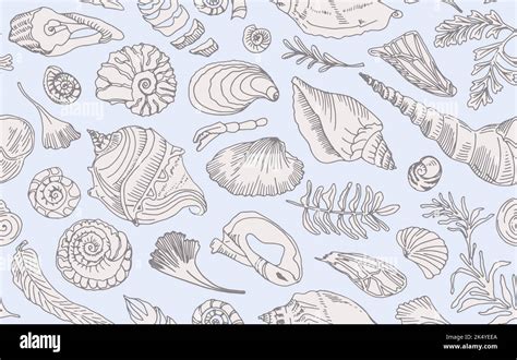 Image result for Nautical Shell Line Drawing