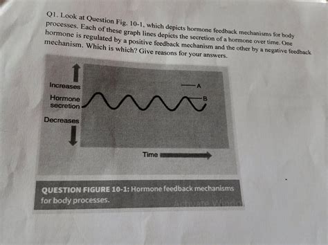 Positive Feedback Loop に対する画像結果