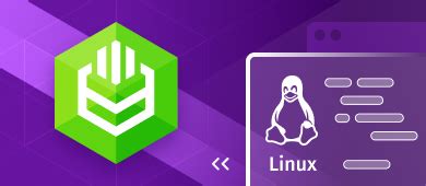 Toradh íomhá ar ODBC Linux