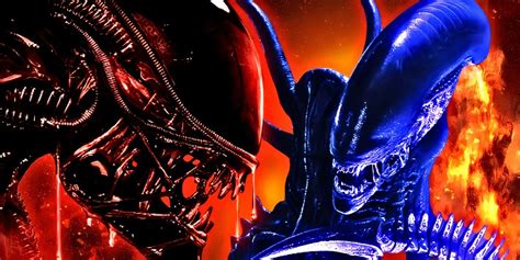 Image result for Xenomorphs Real