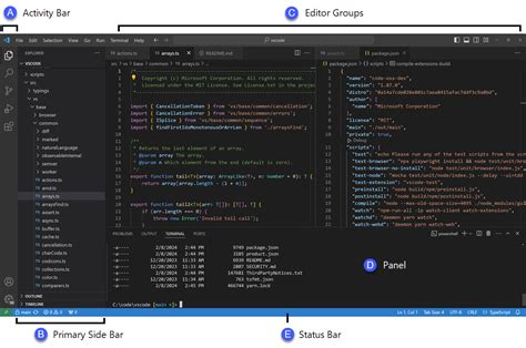 Toradh íomhá ar Foto Visual Studio Code