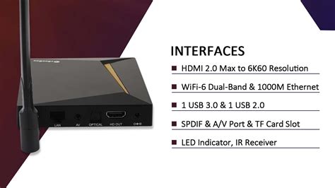 Monster Box 1X Max Adult に対する画像結果