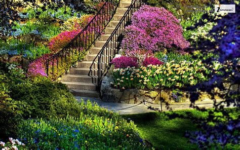 Image result for Beautiful Spring Desktop