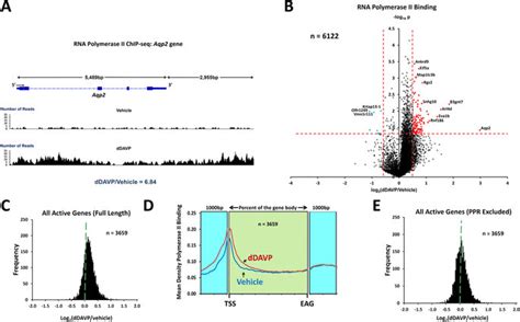 Image result for RNA Pol II ChIP-seq