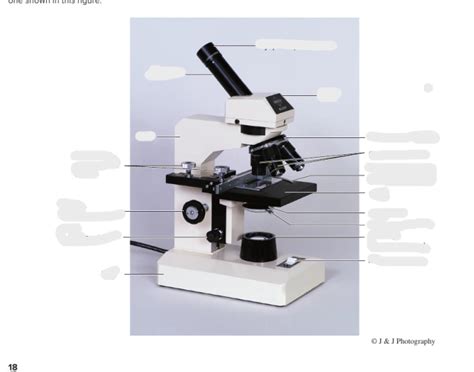 Image result for Printable Compund Light Microscope Test