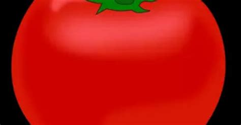 Toradh íomhá ar Tomato Processor