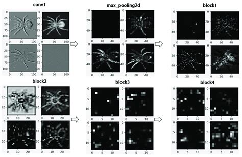 Image result for Rich Feature Matrix Machine Learning