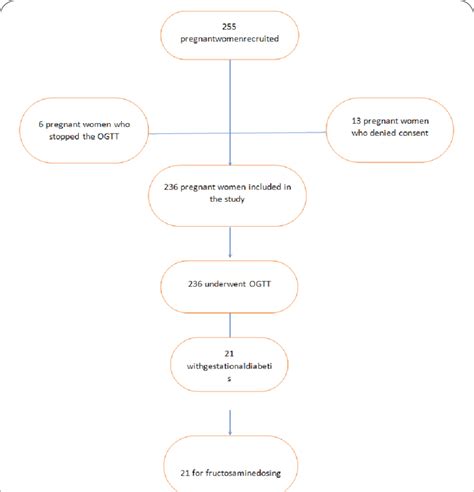 Branch of Selection Flowchart に対する画像結果