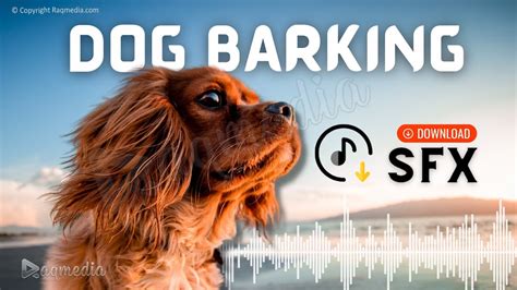 Image result for Sounds of Dogs Barking