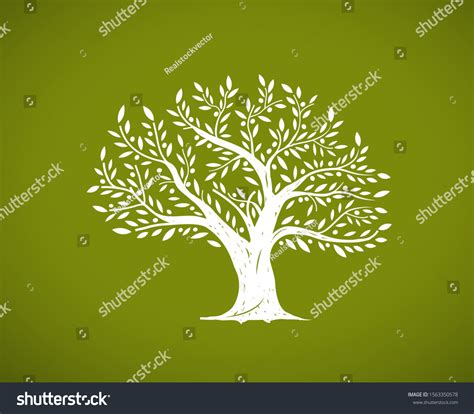 Olive Tree Vector に対する画像結果