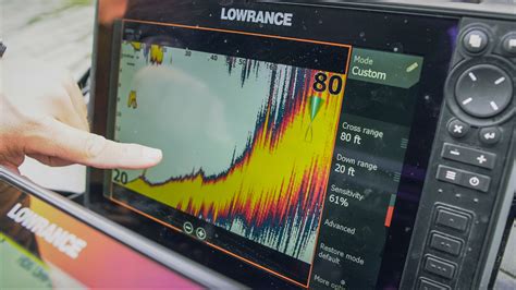 Image result for Lowrance Live View