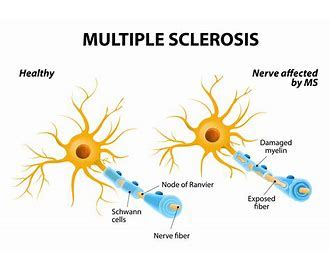 MS Outlook Attach File に対する画像結果