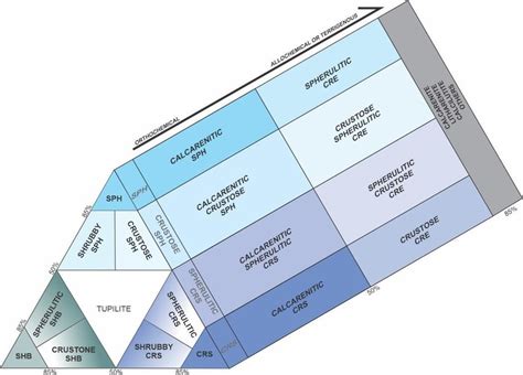 Toradh íomhá ar Classification Schema Graphic