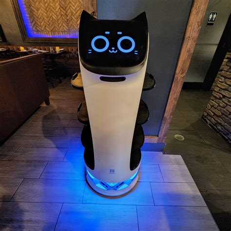 Image result for Dlivery Robots