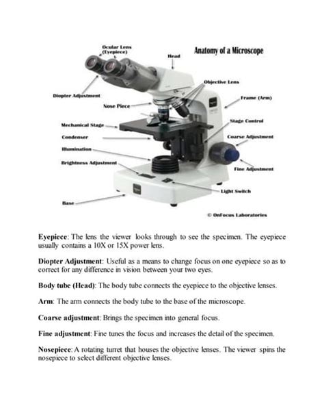 Image result for PDF Microscope