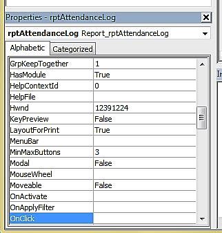Image result for VBA Editor Access