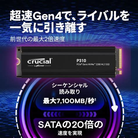 SSD File System に対する画像結果