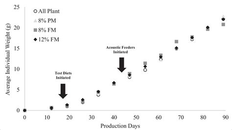 Image result for How to Download Image Net Weights