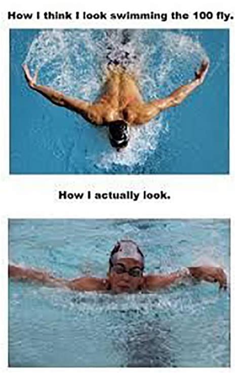 Image result for Jump in Pool Meme