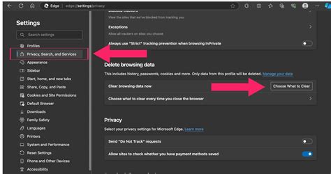 Toradh íomhá ar Best Method to Delete Browsing History
