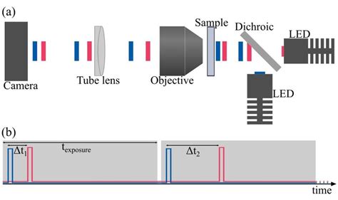 Image result for LED Light Source Module Microscope