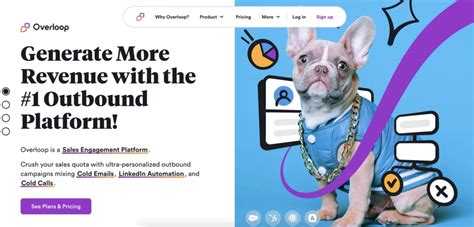 Toradh íomhá ar Email Scraper Icon