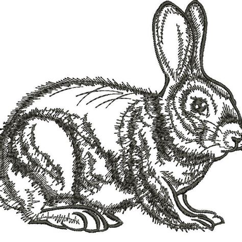 Image result for Machine Embroidery Rabbit Designs