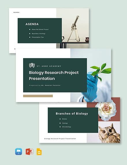 Image result for Example of a School Project