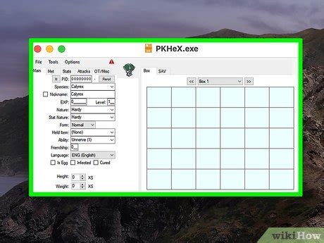 Image result for How to Read Exe-Files